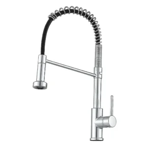Llave Monomando Lavaplatos Flexible Profesional Plata